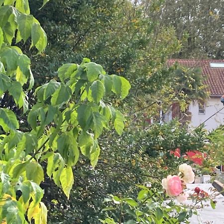 Appartement Avec Vue Sur L Adour Urt Exterior photo